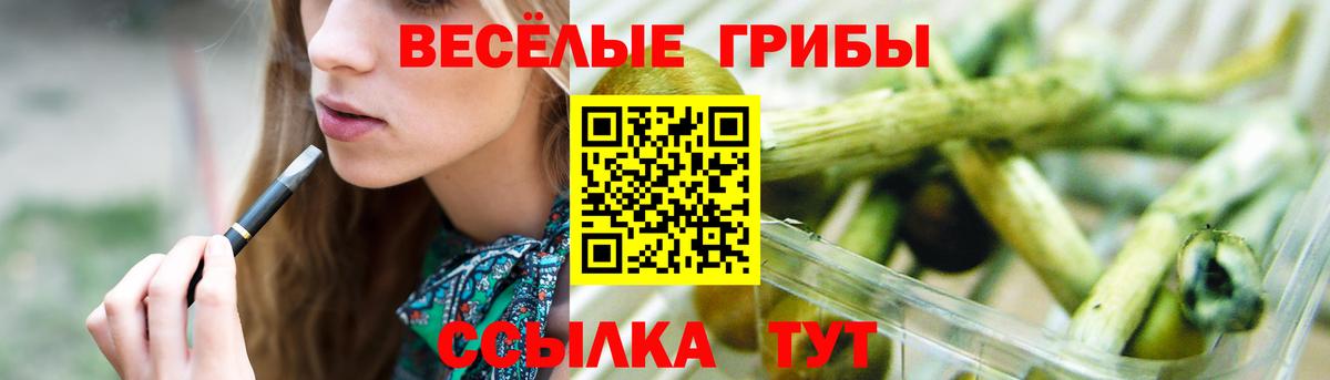 Галлюциногенные грибы MAGIC MUSHROOMS  как найти закладки  Галлюциногенные грибы Psilocybe  Междуреченск  Вход с VPN 